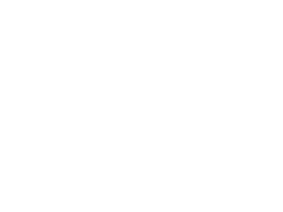 logo-psa-group-w