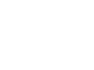 logo-armstrong-w