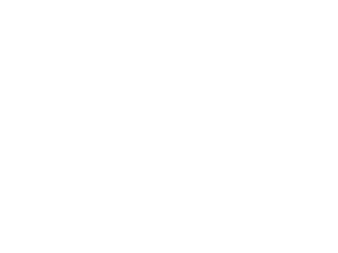 logo-nicole-evin-w